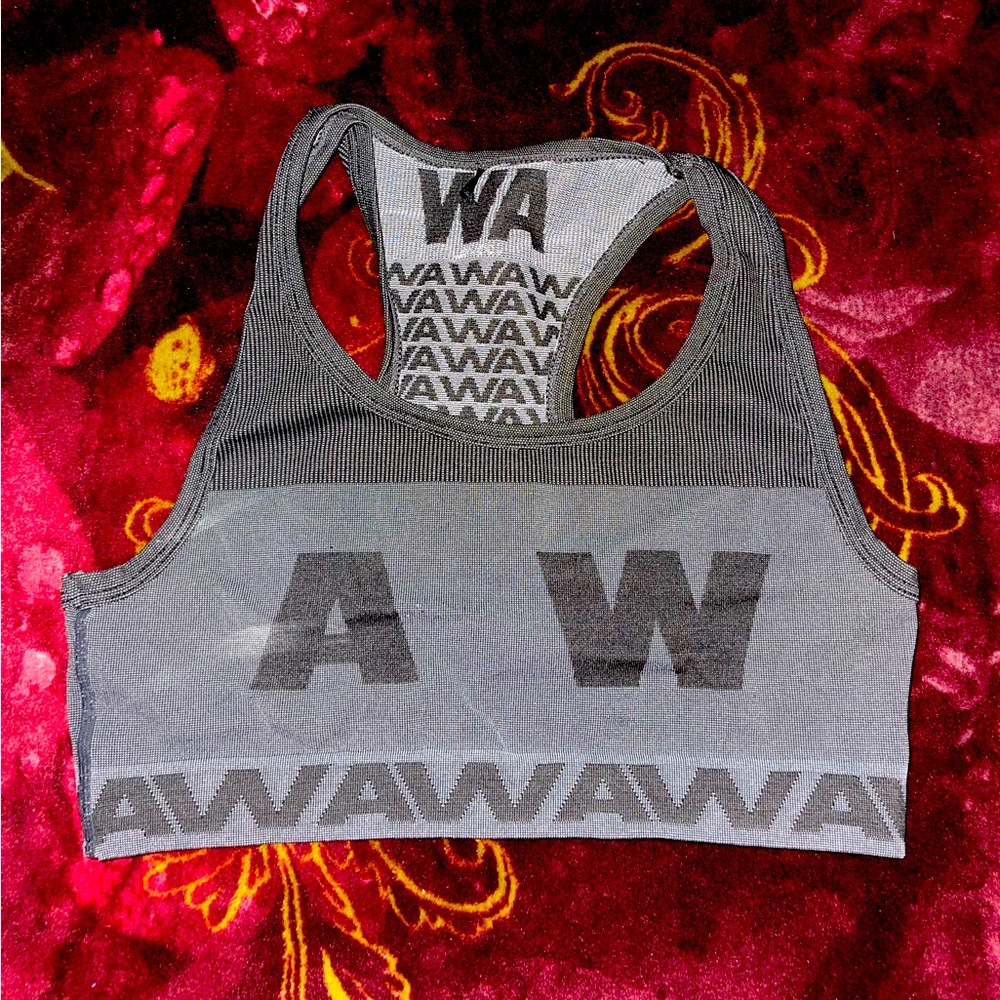 Alexander wang h&m